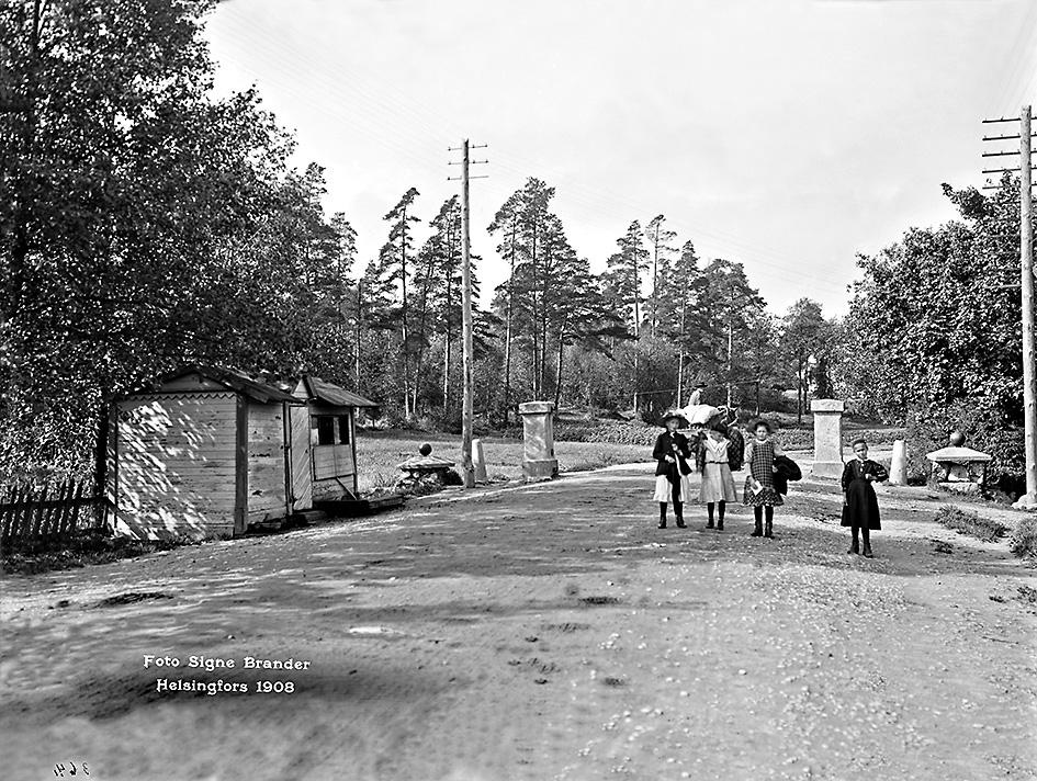 Tullinpuomi vuonna 1908.